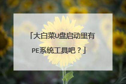 大白菜U盘启动里有PE系统工具吧？