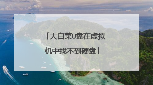 大白菜U盘在虚拟机中找不到硬盘