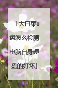 大白菜U盘怎么检测电脑自身硬盘的好坏
