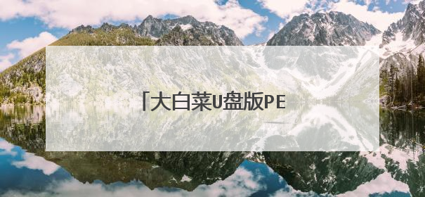 大白菜U盘版PE无法安装系统?