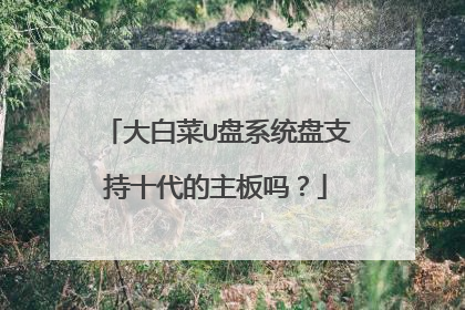 大白菜U盘系统盘支持十代的主板吗?