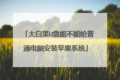 大白菜U盘能不能给普通电脑安装苹果系统