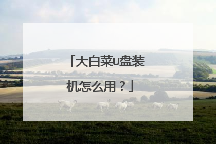 大白菜U盘装机怎么用?