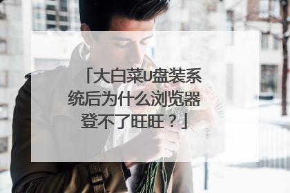 大白菜U盘装系统后为什么浏览器登不了旺旺?