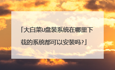 大白菜U盘装系统在哪里下载的系统都可以安装吗?