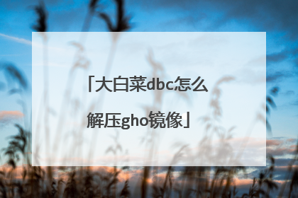 大白菜dbc怎么解压gho镜像