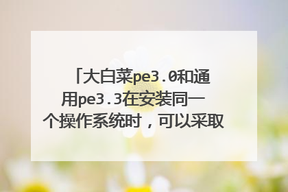 大白菜pe3.0和通用pe3.3在安装同一个操作系统时，可以采取同样的操作方法吗？