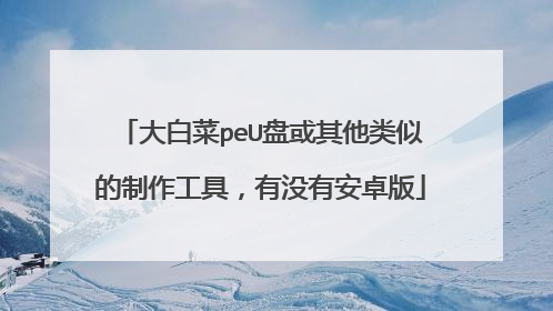 大白菜peU盘或其他类似的制作工具,有没有安卓版