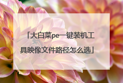 大白菜pe一键装机工具映像文件路径怎么选