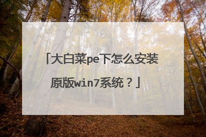 大白菜pe下怎么安装原版win7系统？