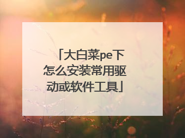 大白菜pe下怎么安装常用驱动或软件工具