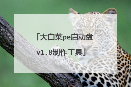 大白菜pe启动盘v1.8制作工具