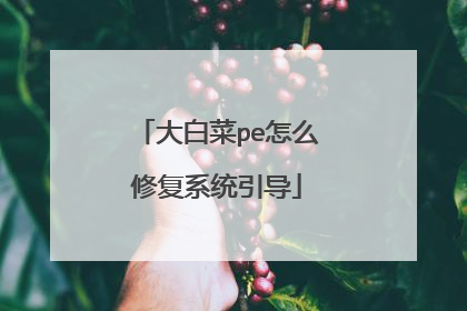 大白菜pe怎么修复系统引导