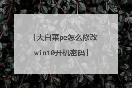 大白菜pe怎么修改win10开机密码