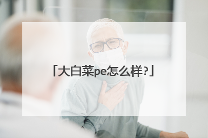 大白菜pe怎么样?