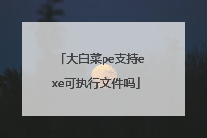 大白菜pe支持exe可执行文件吗