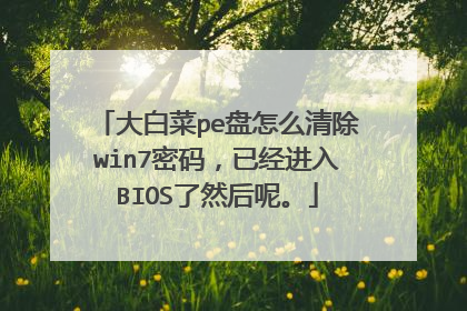 大白菜pe盘怎么清除win7密码，已经进入BIOS了然后呢。
