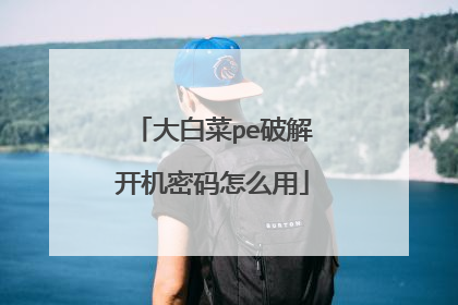 大白菜pe破解开机密码怎么用