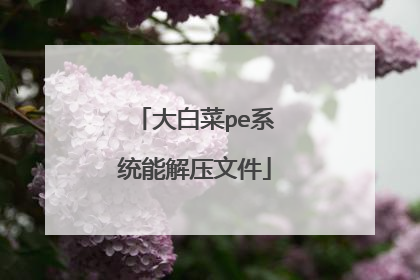 大白菜pe系统能解压文件