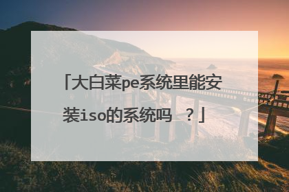 大白菜pe系统里能安装iso的系统吗 ？