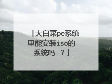 大白菜pe系统里能安装iso的系统吗 ？