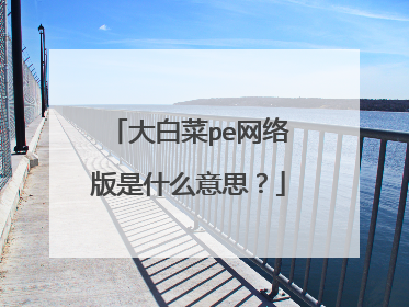 大白菜pe网络版是什么意思？