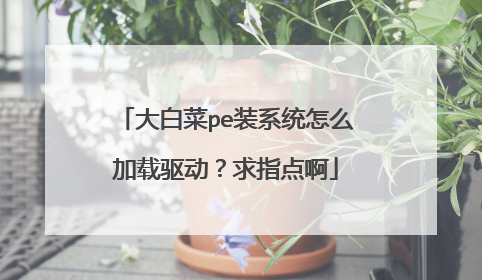 大白菜pe装系统怎么加载驱动？求指点啊
