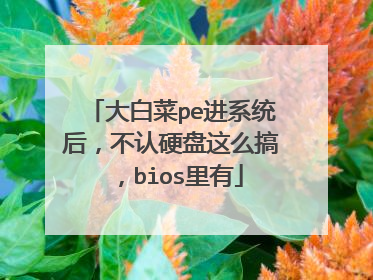 大白菜pe进系统后，不认硬盘这么搞，bios里有