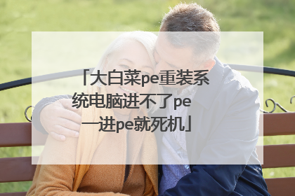 大白菜pe重装系统电脑进不了pe 一进pe就死机