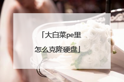 大白菜pe里怎么克隆硬盘