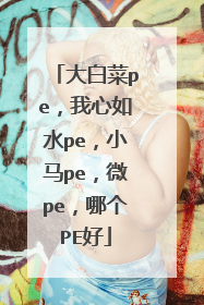 大白菜pe,我心如水pe,小马pe,微pe,哪个PE好
