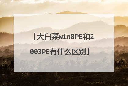 大白菜win8PE和2003PE有什么区别