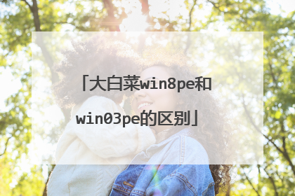大白菜win8pe和win03pe的区别