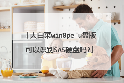 大白菜win8pe u盘版 可以识别SAS硬盘吗?