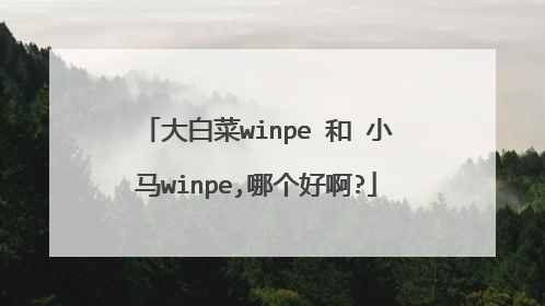 大白菜winpe 和 小马winpe,哪个好啊?