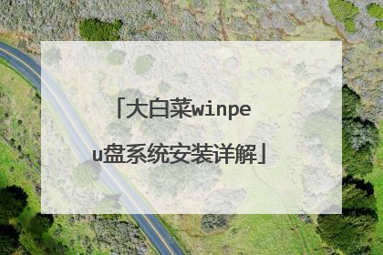 大白菜winpe u盘系统安装详解
