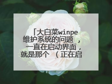 大白菜winpe维护系统的问题 , 一直在启动界面,就是那个 (正在启动大白菜winpe维护系统