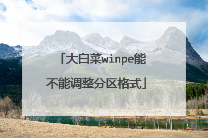 大白菜winpe能不能调整分区格式