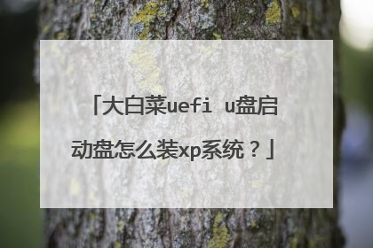 大白菜uefi u盘启动盘怎么装xp系统?