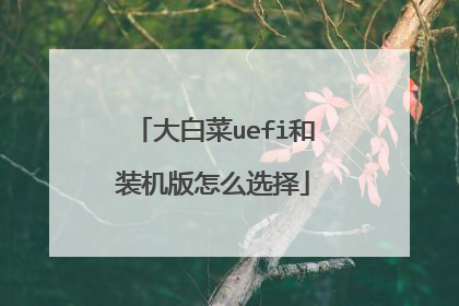 大白菜uefi和装机版怎么选择
