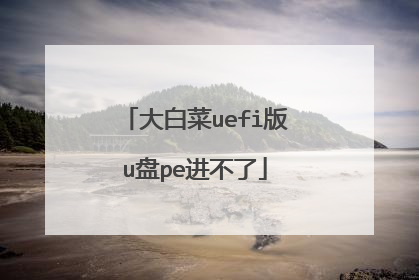 大白菜uefi版u盘pe进不了