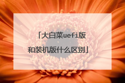 大白菜uefi版和装机版什么区别