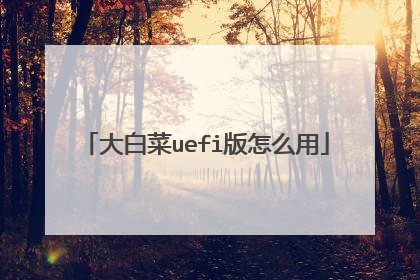 大白菜uefi版怎么用