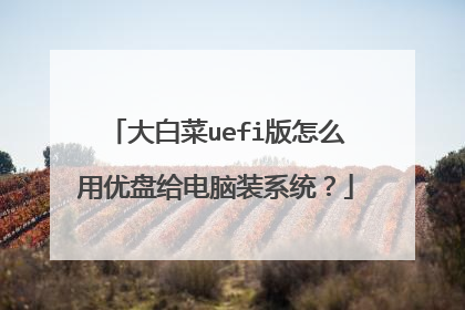 大白菜uefi版怎么用优盘给电脑装系统?