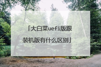 大白菜uefi版跟装机版有什么区别