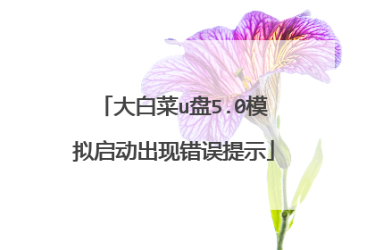 大白菜u盘5.0模拟启动出现错误提示