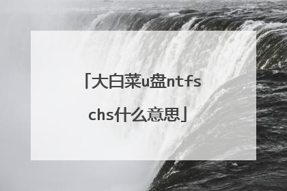 大白菜u盘ntfs chs什么意思
