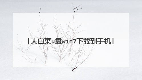 大白菜u盘win7下载到手机