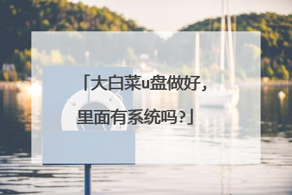 大白菜u盘做好,里面有系统吗?