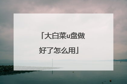 大白菜u盘做好了怎么用